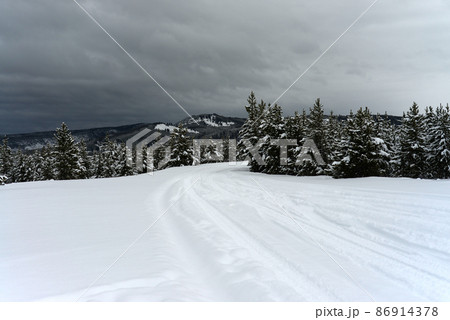 Yellowstone Winter Snow Yellowstone Winter Snow 86914378