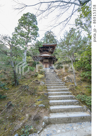 京都 冬の常寂光寺 多宝塔への石段 京都 冬の常寂光寺 多宝塔への石段 86915358