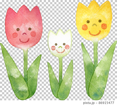 赤白黄色と並んだチューリップの家族のイラスト キャラクター のイラスト素材