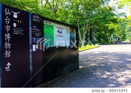 仙台市博物館への通り 86915945
