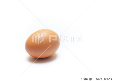 brown chicken egg isolated on white background 86916423