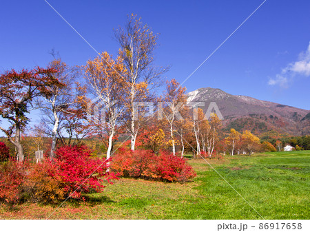 秋も深まり、山麓は黄色と赤の紅葉真っ盛り。山には冠雪が薄っすらと、そのコントラストが綺麗だ。 秋も深まり、山麓は黄色と赤の紅葉真っ盛り。山には冠雪が薄っすらと、そのコントラストが綺麗だ。 86917658