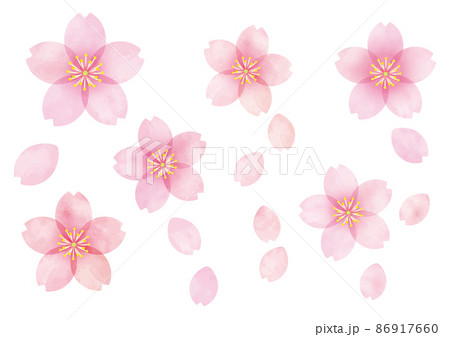 桜 桜の花 07 桜 桜の花 07 86917660