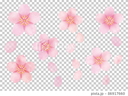 桜 桜の花 07 桜 桜の花 07 86917660
