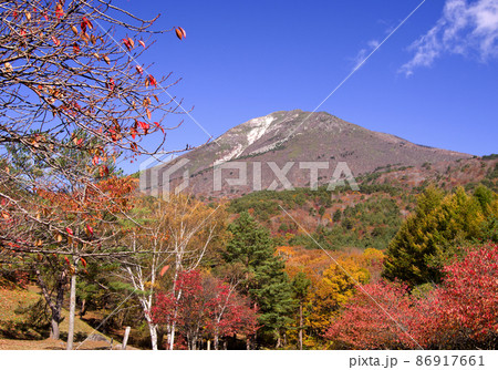 秋が深まり、紅葉が真っ盛り、山麓を赤や黄色に彩る。山頂付近には冠雪も見られ、色のコントラストが綺麗だ 秋が深まり、紅葉が真っ盛り、山麓を赤や黄色に彩る。山頂付近には冠雪も見られ、色のコントラストが綺麗だ 86917661