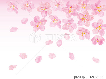 桜 桜の花 06 桜 桜の花 06 86917662