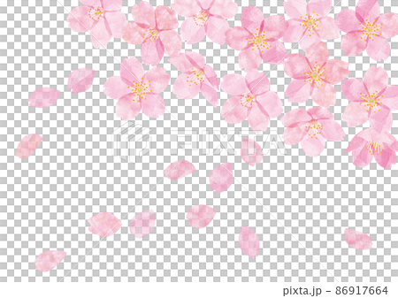 Sakura Sakura no Hana 05 Sakura Sakura no Hana 05 86917664
