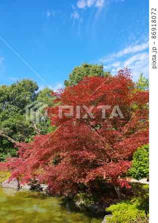 西山公園　嚮陽庭園 86918072