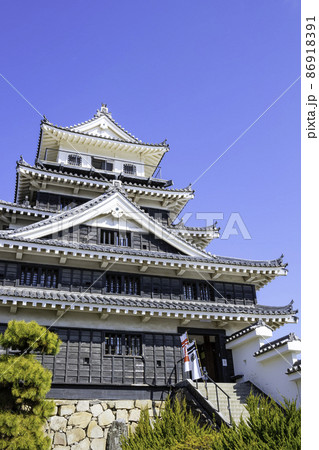 日本三大水城である中津城 (大分県中津市) 日本三大水城である中津城 (大分県中津市) 86918391