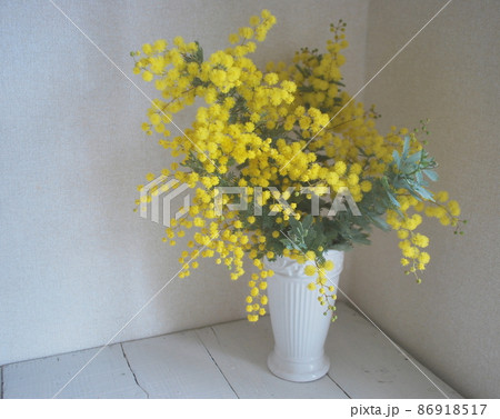 白い花瓶と満開のミモザの花 86918517