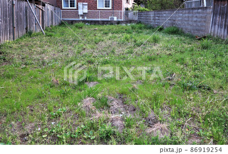 空き地 空き地 86919254