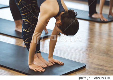 ヨガレッスン・ホットヨガ 86919316