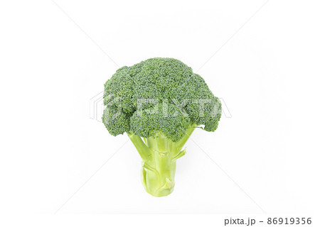 ブロッコリー 白背景 の写真素材