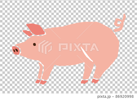 豚　レトロなベクターイラスト 86920998