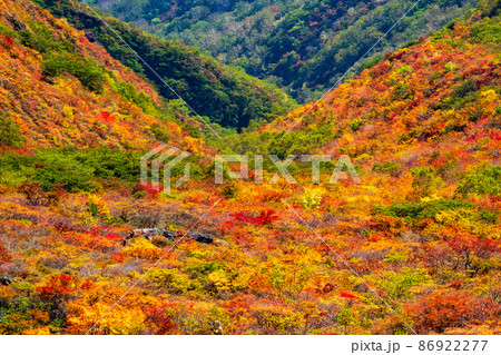 錦秋の那須岳 錦秋の那須岳 86922277