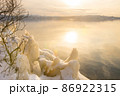 厳冬の猪苗代湖畔に現れるしぶき氷 86922315
