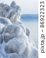 厳冬の猪苗代湖畔に現れるしぶき氷 86922323