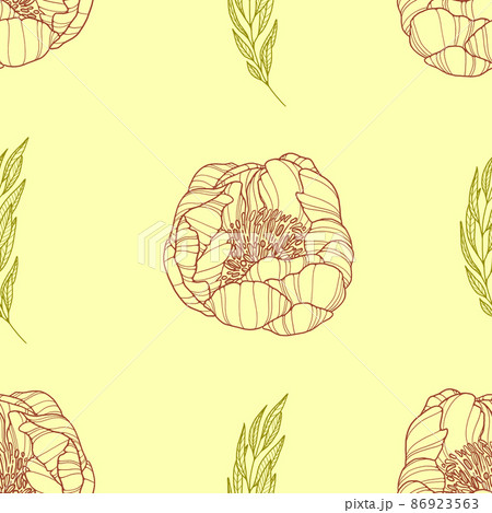 Simple floral print. Outline peonies and leaves on vanilla background. Illustration for wrapping, covering, textile Simple floral print. Outline peonies and leaves on vanilla background. Illustration for wrapping, covering, textile 86923563