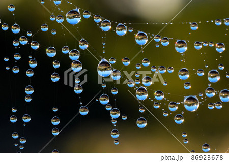 水滴 水滴 86923678