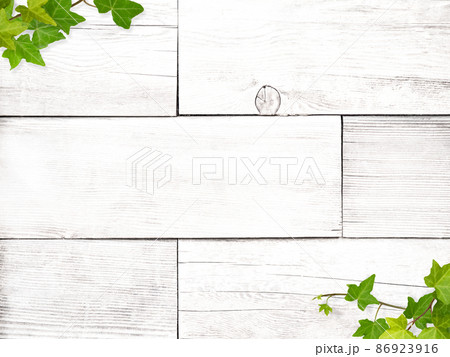 白い木目とアイビーのナチュラルな背景 86923916