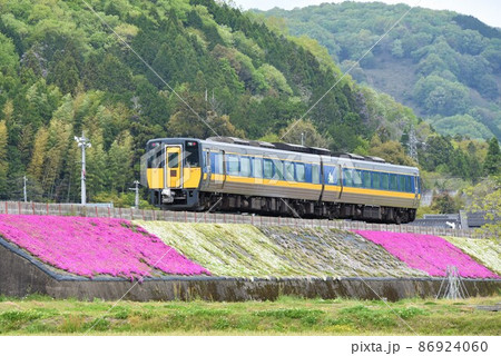 芝桜咲く頃 高規格路線 智頭急行を行く列車 芝桜咲く頃 高規格路線 智頭急行を行く列車 86924060