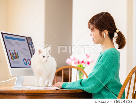 オンラインミーティングをする女性と猫 86924858