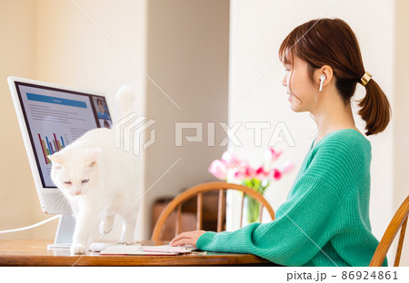 オンラインミーティングをする女性と猫 オンラインミーティングをする女性と猫 86924861