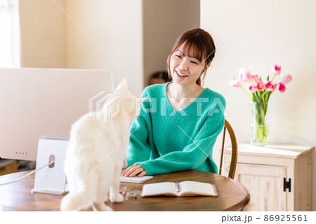 テレワークの女性と猫 86925561