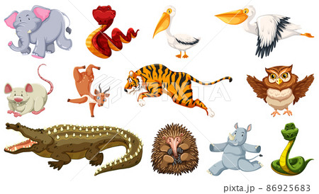 Set of different wild animals cartoon characters Set of different wild animals cartoon characters 86925683
