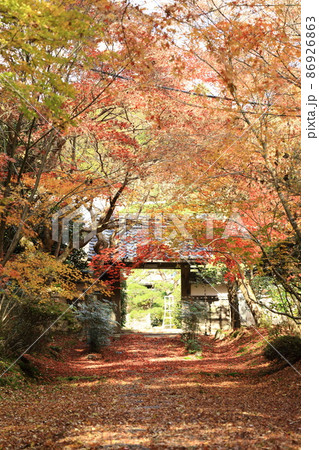 晩秋の福性寺 晩秋の福性寺 86926863