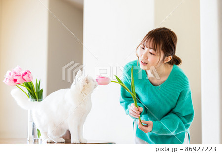 猫と暮らす若い女性 86927223