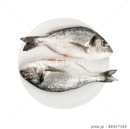 Orata Fish Isolated, Fresh Dorado, Seabream 86927389