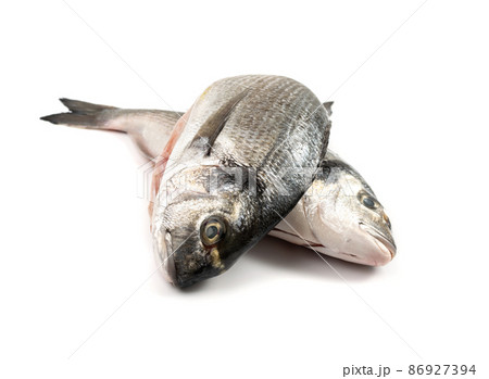 Orata Fish Isolated, Fresh Dorado, Seabream 86927394
