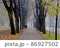 The fall in the park outdoor with runner 86927502