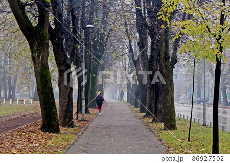 The fall in the park outdoor with runner The fall in the park outdoor with runner 86927502