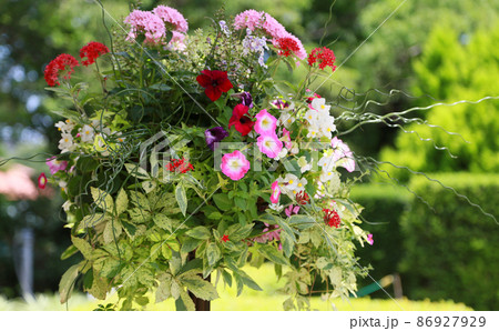 庭の花の飾り 庭の花の飾り 86927929
