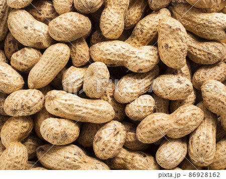 殻付き落花生 86928162