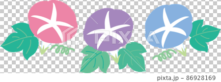三色牽牛花 三色牽牛花 86928169