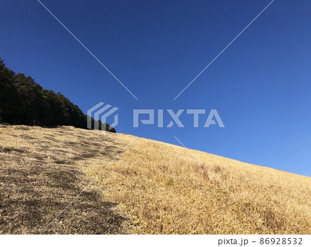 別府冬の扇山 別府冬の扇山 86928532