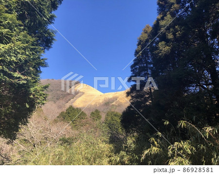 別府冬の扇山 86928581