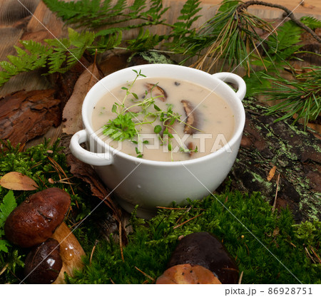 White Restaurant Plate with Cream Boletus Mushroom Soup White Restaurant Plate with Cream Boletus Mushroom Soup 86928751