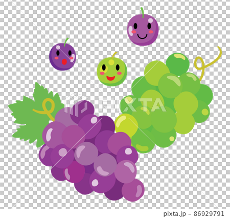 可愛的葡萄的插圖 可愛的葡萄的插圖 86929791