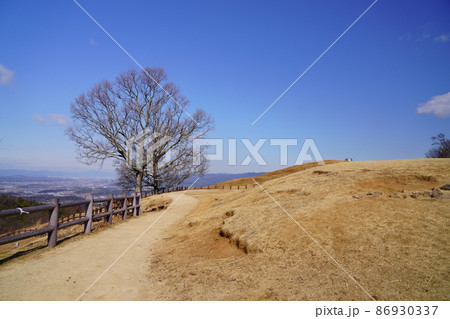 冬の若草山山頂から京都方面 86930337