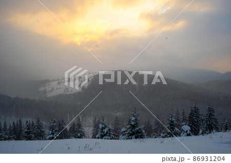 Gloomy winter landscape with mountain hills covered with evergreen pine forest after heavy snowfall on cold quiet evening. Gloomy winter landscape with mountain hills covered with evergreen pine forest after heavy snowfall on cold quiet evening. 86931204