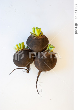 3つの黒丸大根の物撮り写真 3つの黒丸大根の物撮り写真 86931205