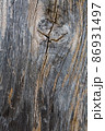 The beautiful texture of a dried old tree. 86931497