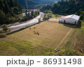 Man and cows on the football field. 86931498