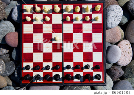 White and black pieces are placed on the chessboard, white made the first move. 86931502