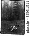 The bicycle is lying on the ground against the backdrop of the forest. 86931511