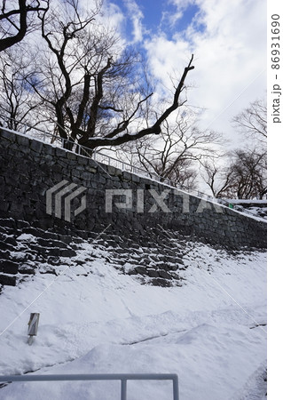 石垣が見事な盛岡城跡公園 86931690